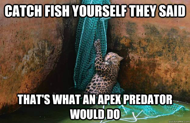 Catch Fish Yourself They Said That's what an apex predator would do  Apex Predator
