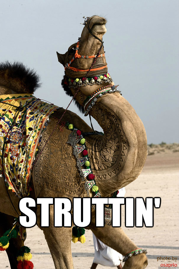 Struttin' - Struttin'  Misc
