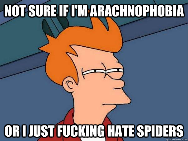 not sure if I'm arachnophobia  or i just fucking hate spiders  - not sure if I'm arachnophobia  or i just fucking hate spiders   Futurama Fry