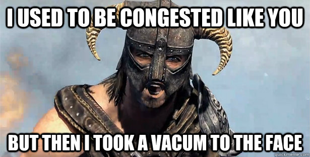 I USED TO BE CONGESTED LIKE YOU BUT THEN I TOOK A VACUM TO THE FACE  Skyrim time wasting