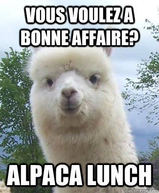 Vous voulez a bonne affaire? Alpaca Lunch - Vous voulez a bonne affaire? Alpaca Lunch  Alpaca-pun Alpaca