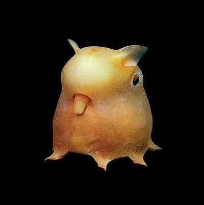 LOVE ME. I'M SQUISHY. Misc