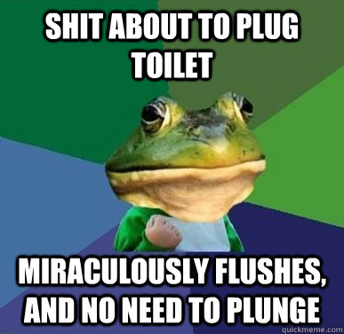 shit about to plug toilet miraculously flushes, and no need to plunge  Success Bachelor Frog