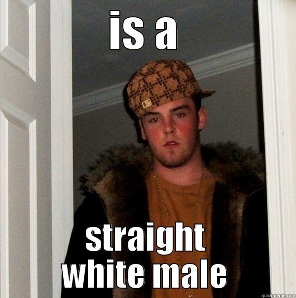 IS A STRAIGHT WHITE MALE Scumbag Steve