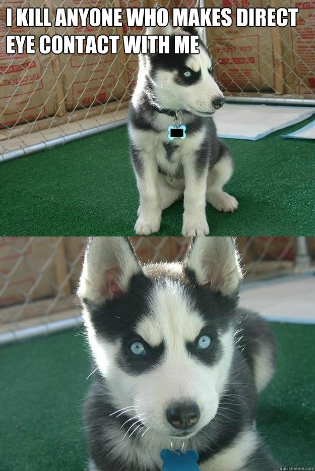 I kill anyone who makes direct eye contact with me   Insanity puppy