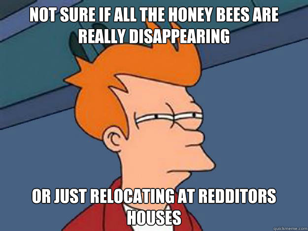 Not sure if all the honey bees are really disappearing or just relocating at redditors houses  Unsure Fry
