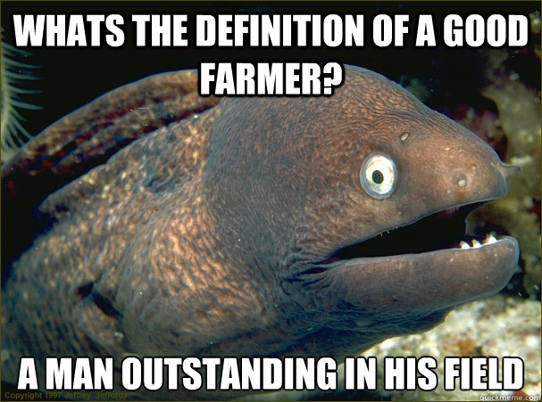 Whats the definition of a good farmer? a man outstanding in his field Caption 3 goes here - Whats the definition of a good farmer? a man outstanding in his field Caption 3 goes here  Bad Joke Eel