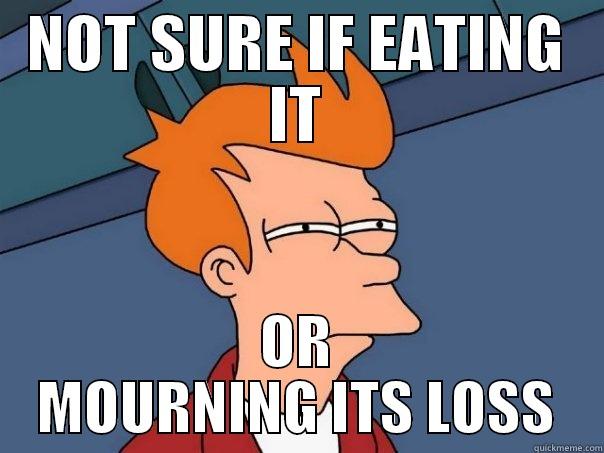 NOT SURE IF EATING IT OR MOURNING ITS LOSS Futurama Fry
