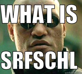 WHAT IS   SRFSCHL Matrix Morpheus
