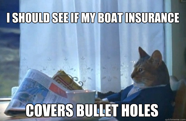 I should see if my boat insurance covers bullet holes  Sophisticated Cat