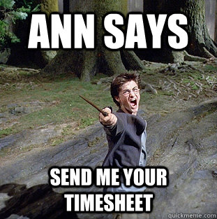 Ann Says SEND ME YOUR TIMESHEET  Pissed off Harry