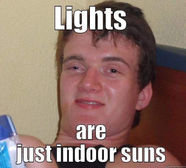 LIGHTS ARE JUST INDOOR SUNS 10 Guy