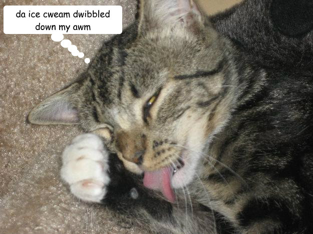 da ice cweam dwibbled down my awm - da ice cweam dwibbled down my awm  Mamacita Estrella