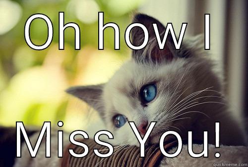 Missing You - OH HOW I MISS YOU! First World Problems Cat