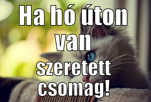 HA HÓ ÚTON VAN SZERETETT CSOMAG! First World Problems Cat