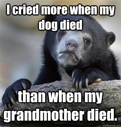 I cried more when my dog died than when my grandmother died.  Confession Bear