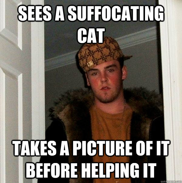 Sees a suffocating cat Takes a picture of it before helping it  Scumbag Steve