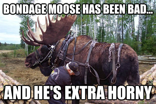 Bondage Moose Has been bad... and he's extra Horny  