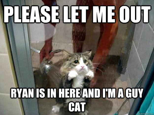 Please let me out ryan is in here and i'm a guy cat - Please let me out ryan is in here and i'm a guy cat  Shower kitty
