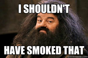 I shouldn't have smoked that  Shouldnt have smoked that hagrid