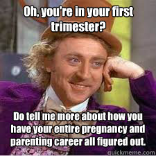 Do tell me more about how you have your entire pregnancy and parenting career all figured out. Oh, you're in your first trimester?  