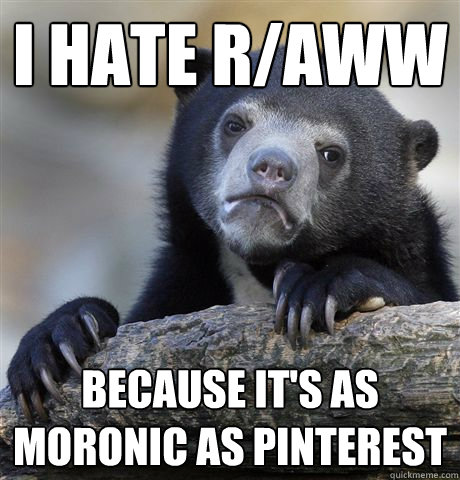 i hate r/aww because it's as moronic as pinterest  Confession Bear