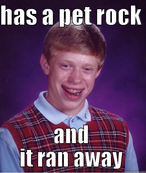 HAS A PET ROCK  AND IT RAN AWAY Bad Luck Brian