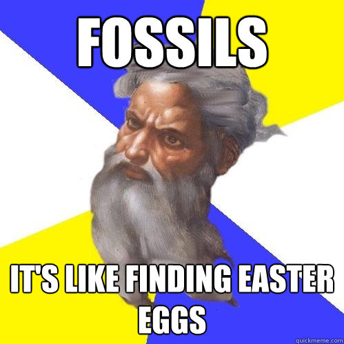 Fossils It's like finding easter eggs  Advice God