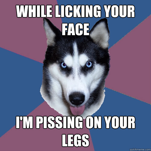 While licking your face i'm pissing on your legs - While licking your face i'm pissing on your legs  Creeper Canine