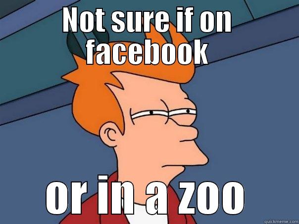 NOT SURE IF ON FACEBOOK OR IN A ZOO Futurama Fry