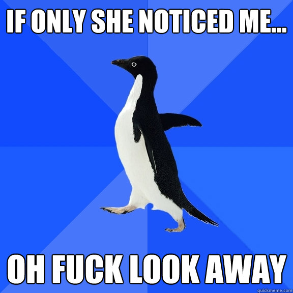 if only she noticed me... oh fuck look away  Socially Awkward Penguin