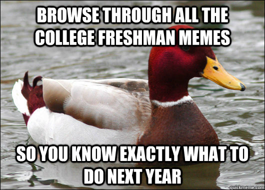 Browse through all the college freshman memes So you know exactly what to do next year - Browse through all the college freshman memes So you know exactly what to do next year  Malicious Advice Mallard