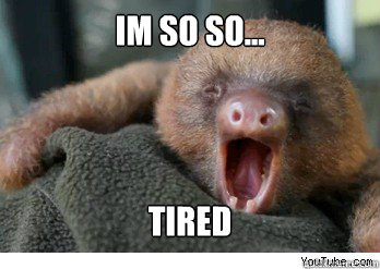 im so so... tired - im so so... tired  ermahgerd sloth