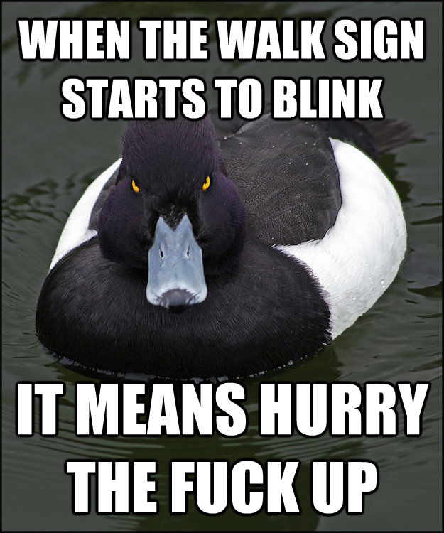 WHEN THE WALK SIGN STARTS TO BLINK IT MEANS HURRY THE FUCK UP - WHEN THE WALK SIGN STARTS TO BLINK IT MEANS HURRY THE FUCK UP  Angry Advice Duck