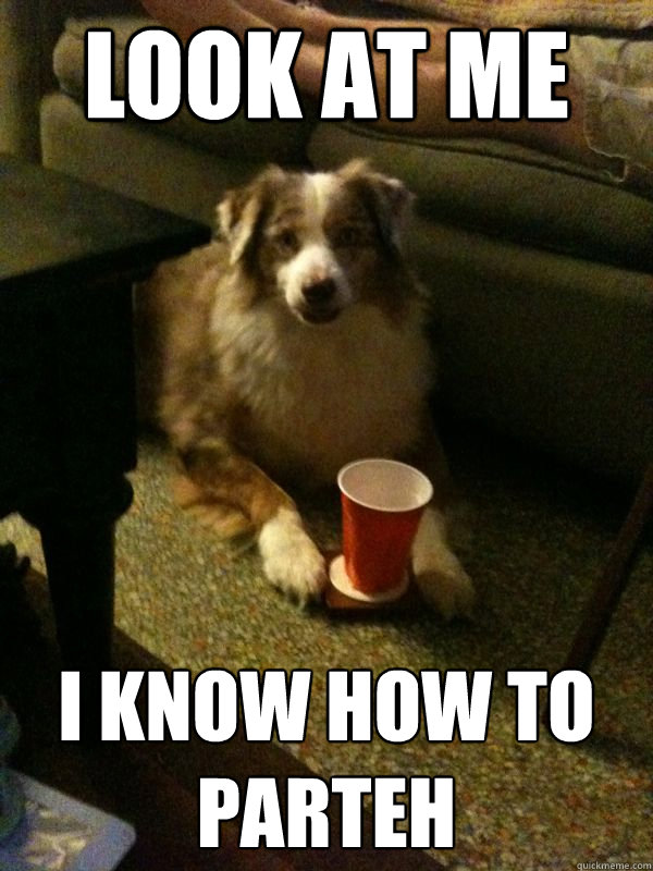 LOOK AT ME I KNOW HOW TO PARTEH  Drink Dog