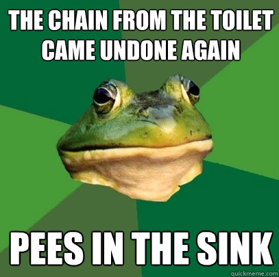 The chain from the toilet came undone again pees in the sink  Foul Bachelor Frog