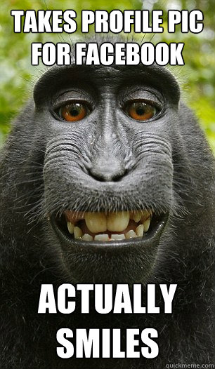 Takes Profile pic for facebook actually smiles  Mindful Macaque