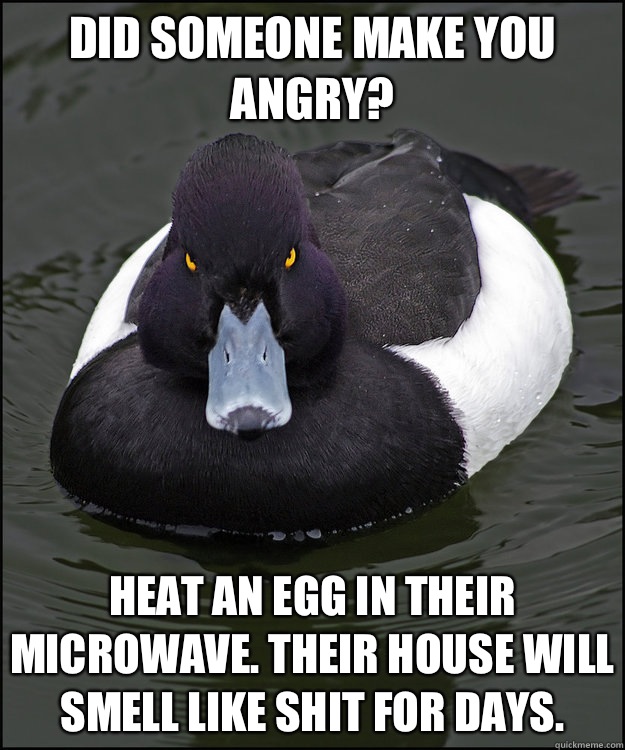 Did someone make you angry? Heat an egg in their microwave. Their house will smell like shit for days.  