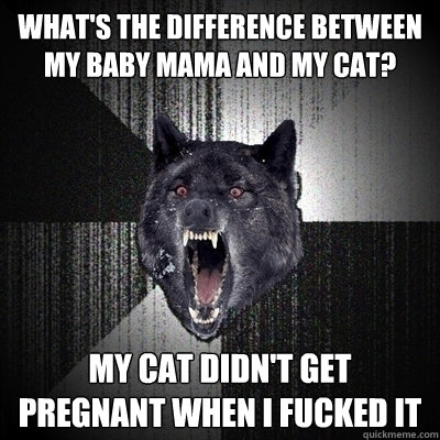 what's the difference between my baby mama and my cat? my cat didn't get pregnant when i fucked it  Bullets - Insanity wolf