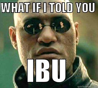 WHAT IF I TOLD YOU  IBU Matrix Morpheus
