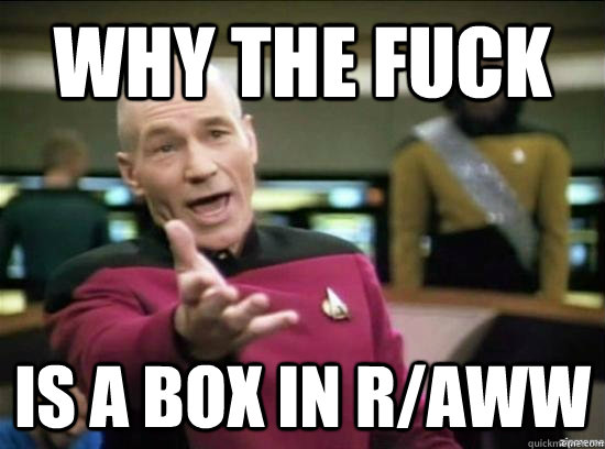 Why the fuck is a box in r/aww  Annoyed Picard HD