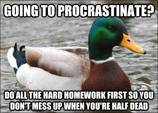 Going to Procrastinate? Do all the hard homework first so you don't mess up when you're half dead  Actual Advice Mallard