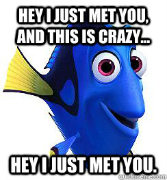 hey i just met you, and this is crazy... hey i just met you.  Hey I just met you dory meme