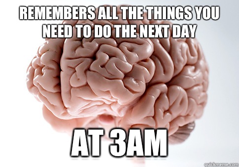 Remembers all the things you need to do the next day At 3am  Scumbag Brain