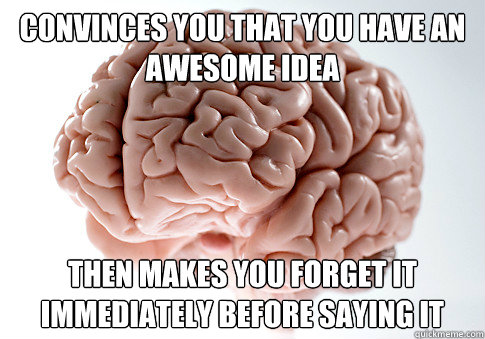 Convinces you that you have an awesome idea Then makes you forget it immediately before saying it  Scumbag Brain
