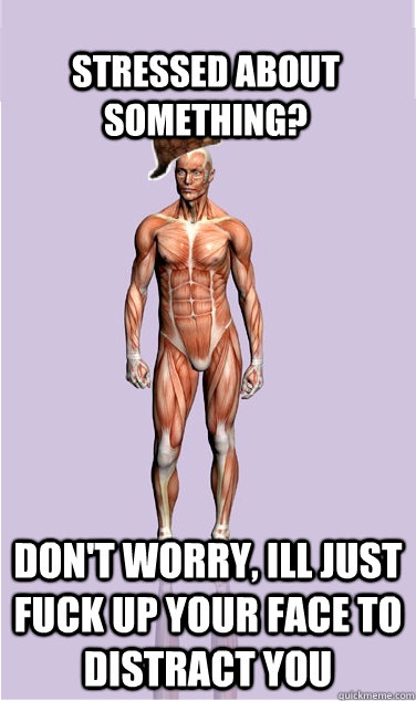 STRESSED ABOUT SOMETHING? DON'T WORRY, ILL JUST FUCK UP YOUR FACE TO DISTRACT YOU - STRESSED ABOUT SOMETHING? DON'T WORRY, ILL JUST FUCK UP YOUR FACE TO DISTRACT YOU  Misc