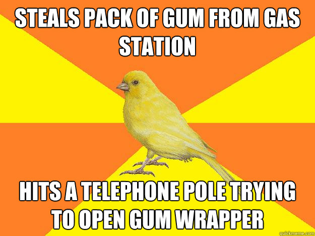 steals pack of gum from gas station hits a telephone pole trying to open gum wrapper  Instant Karma Canary
