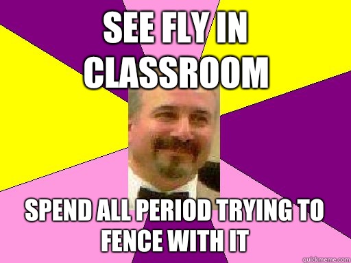 See fly in classroom Spend all period trying to fence with it  Literature lerner