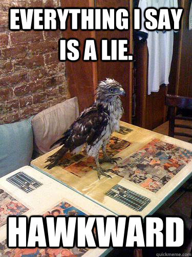 Everything I say is a lie. Hawkward  Hawkward Hawk