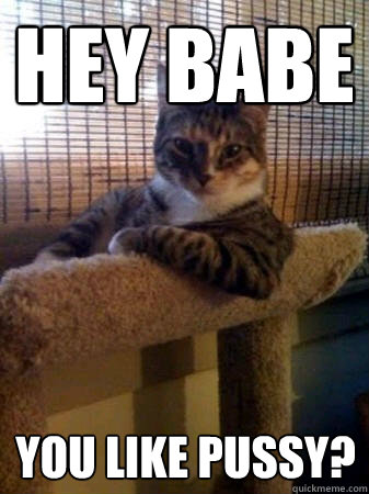 hey babe you like pussy?  - hey babe you like pussy?   The Most Interesting Cat in the World